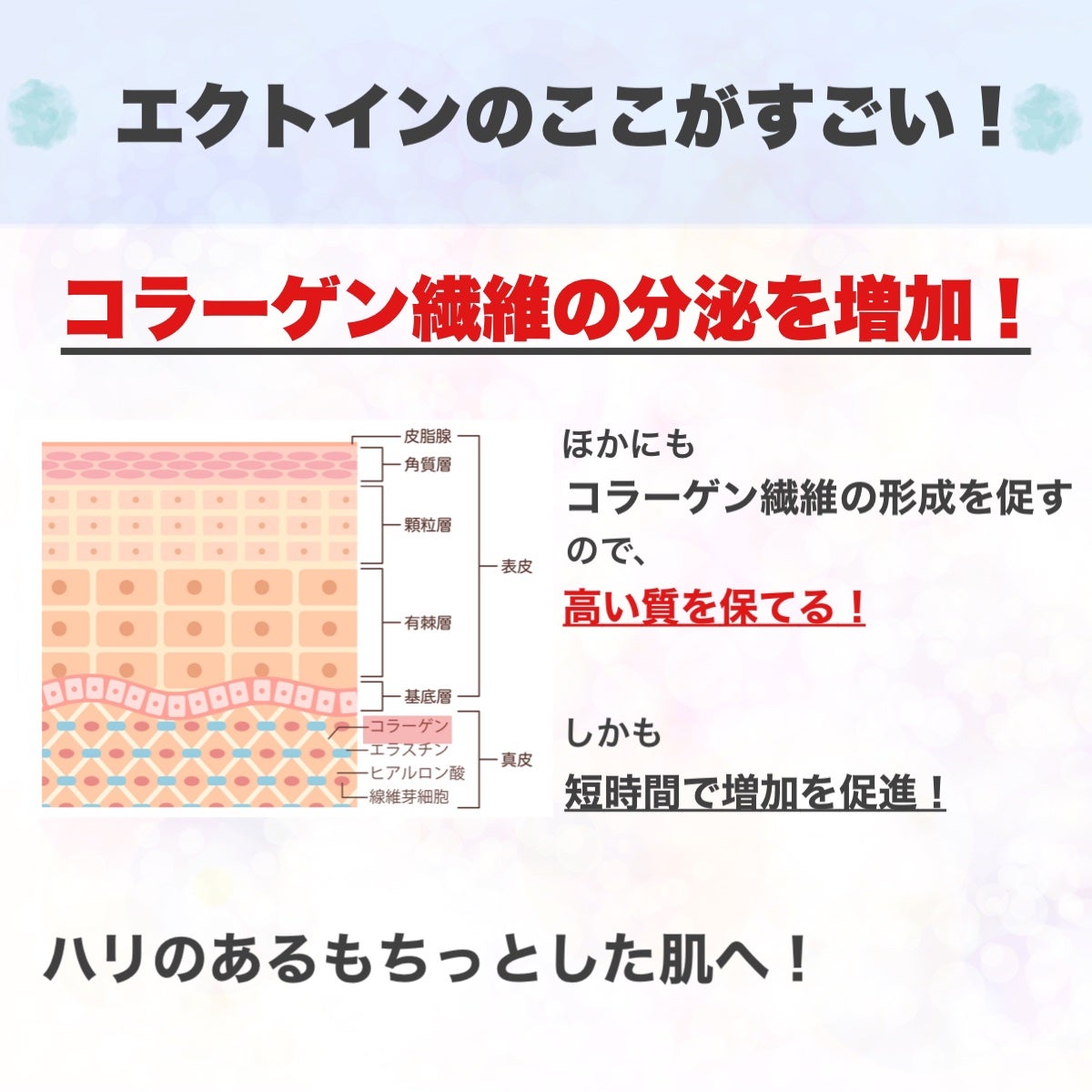 エスト ザ ローション/est/化粧水を使ったクチコミ(4枚目)