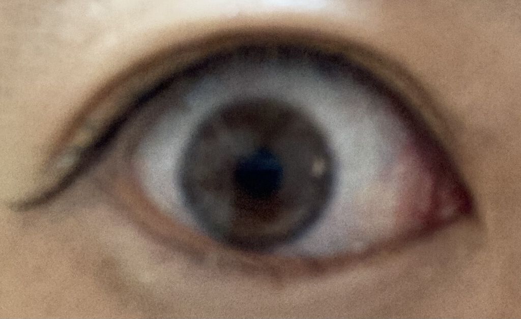 OvE（オヴィ） 1day OvE6/OvE/ワンデー（１DAY）カラコンを使ったクチコミ（2枚目）