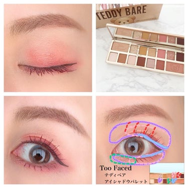 テディ ベア アイシャドウ パレット/Too Faced/パウダーアイシャドウを使ったクチコミ（2枚目）