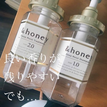 ディープモイスト シャンプー1.0／ヘアトリートメント2.0/&honey/シャンプー・コンディショナーを使ったクチコミ（1枚目）