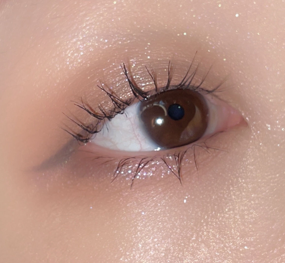 ミッドサマーフェアリーテイルズコレクション 5色アイシャドウパレット 01 Hazel Fawn/FlowerKnows/アイシャドウパレットを使ったクチコミ（2枚目）