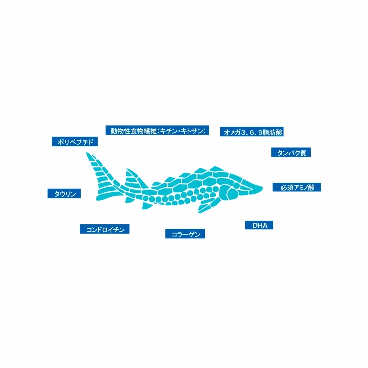 トータルクレンザー/The Zoeun Skin/その他洗顔料を使ったクチコミ（3枚目）