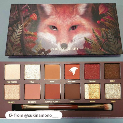 エクスプローラ12色 動物アイシャドウパレット/PERFECT DIARY/アイシャドウパレットを使ったクチコミ(2枚目)