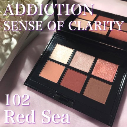 コンパクトアディクション センス オブ クラリティ/ADDICTION/アイシャドウパレットを使ったクチコミ(1枚目)