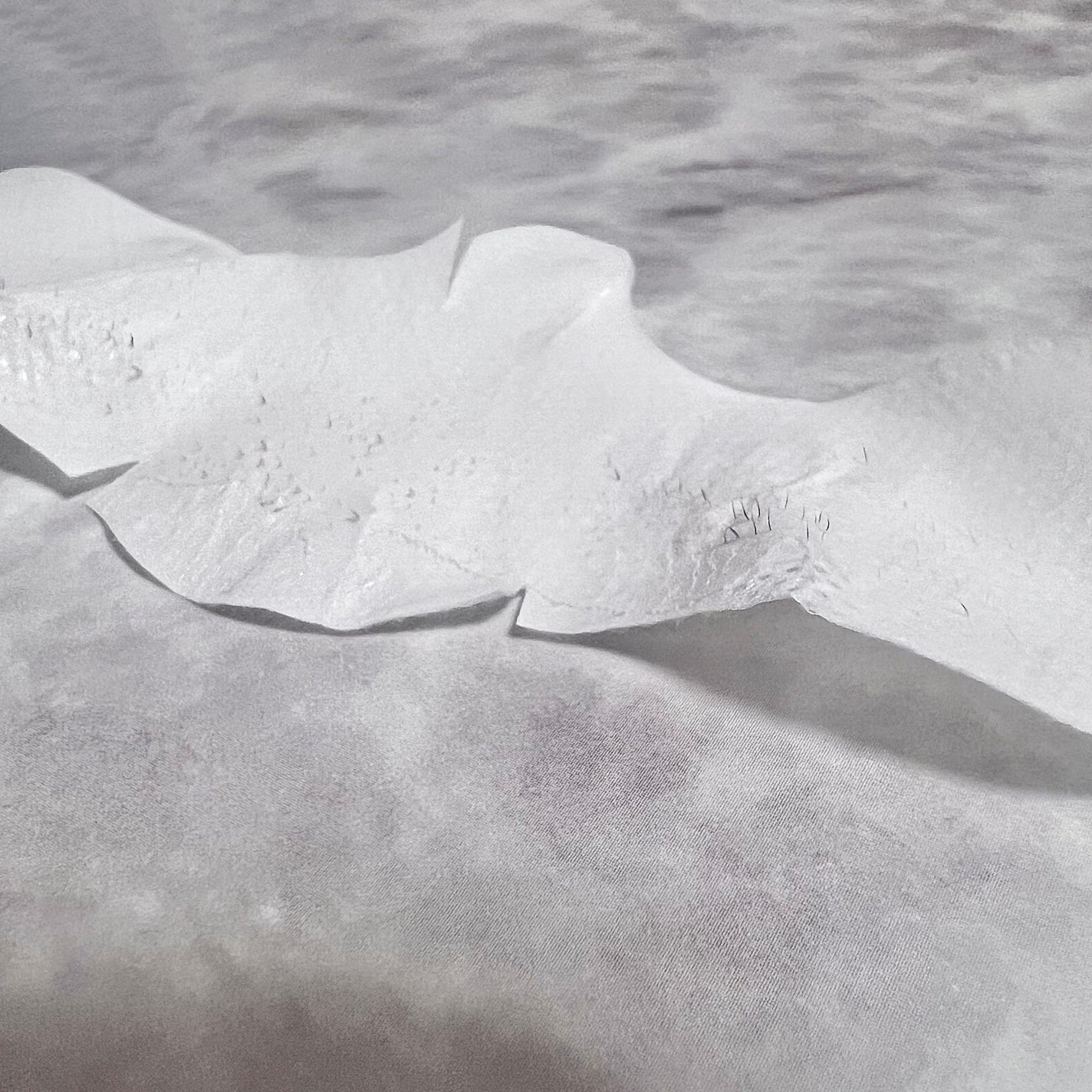 毛穴モップ (3STEP NOSE PACK)/YAMMY’S TOY/洗い流すパック・マスクを使ったクチコミ(7枚目)