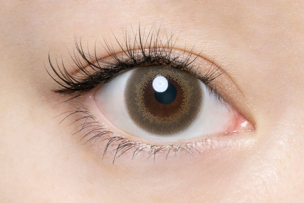 FLANMY 1day ホウジチャバーム