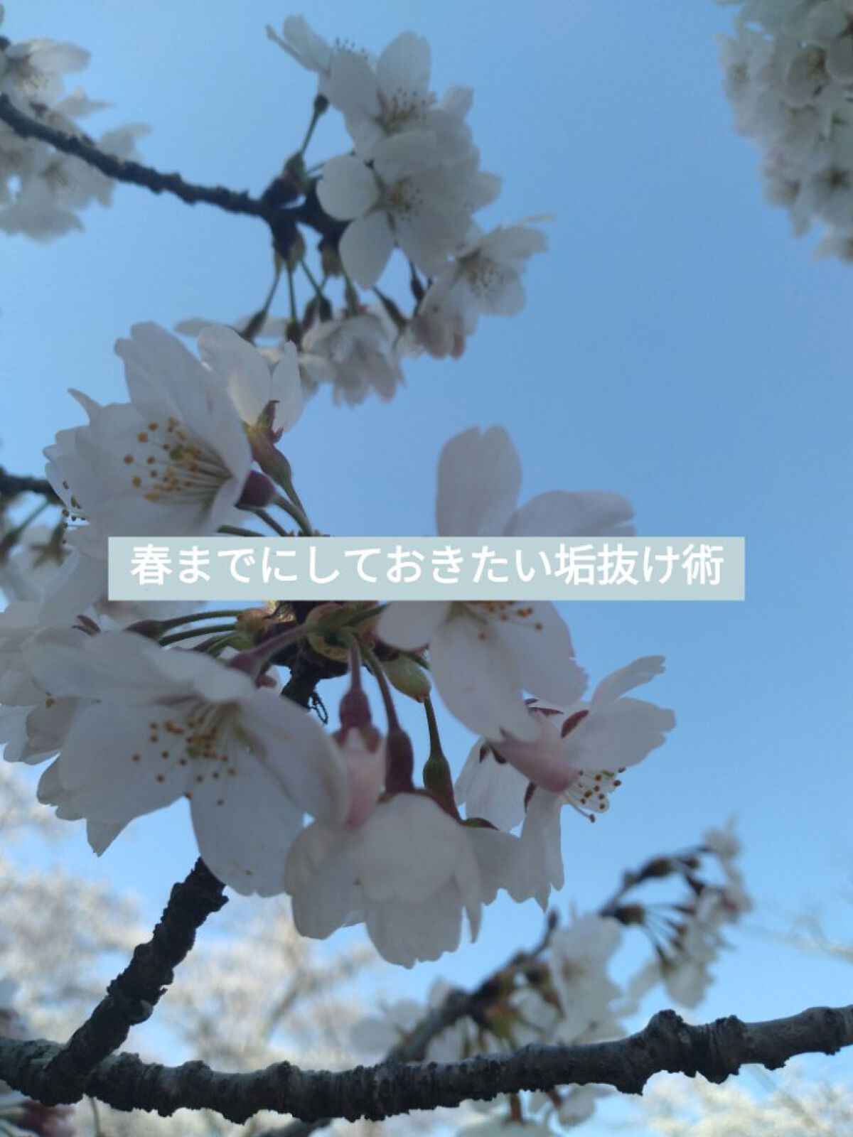 オリシキ アイリッドスキンフィルム		/D-UP/二重まぶた用アイテムを使ったクチコミ（1枚目）