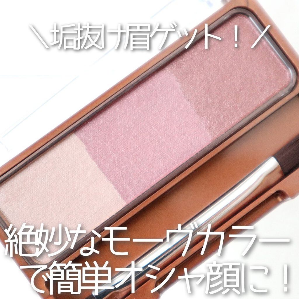 ノーズ＆アイブロウパウダー/CEZANNE/パウダーアイブロウを使ったクチコミ（1枚目）