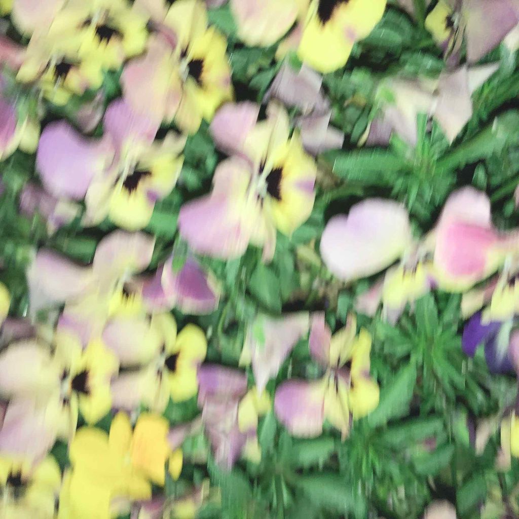 パーフェクトマルチアイズ/キャンメイク/アイシャドウパレットを使ったクチコミ(1枚目)