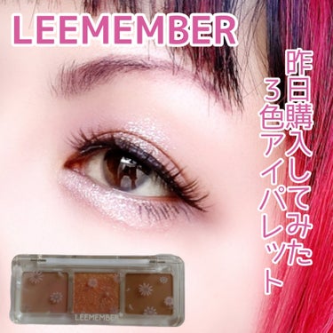 3色フローラアイパレット JM03 ガーベラ/LEEMEMBER/アイシャドウパレットを使ったクチコミ（1枚目）