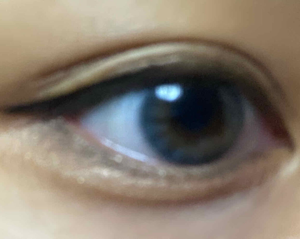 パーフェクトマルチアイズ/キャンメイク/アイシャドウパレットを使ったクチコミ（2枚目）