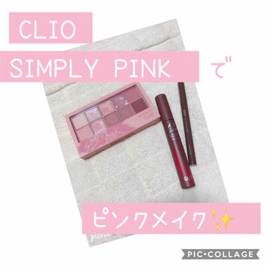 プロ アイ パレット/CLIO/パウダーアイシャドウを使ったクチコミ（1枚目）