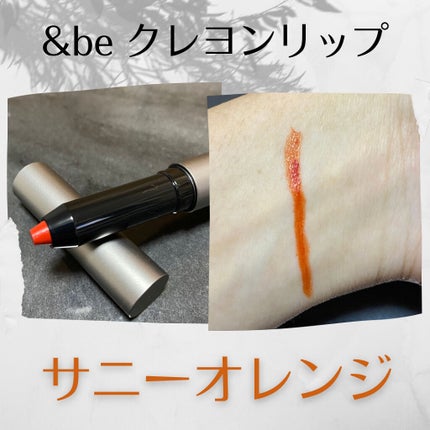 シルキースフレアイズ/キャンメイク/アイシャドウパレットを使ったクチコミ(2枚目)