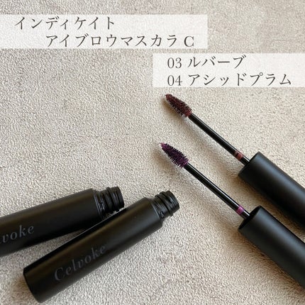 セルヴォーク インディケイトアイブロウパウダー/Celvoke/パウダーアイブロウを使ったクチコミ(4枚目)