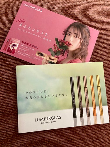 スキルレスライナー/LUMIURGLAS/リキッドアイライナーを使ったクチコミ（1枚目）