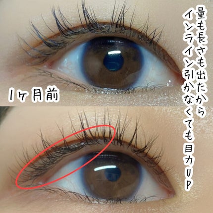 ラッシュアディクト アイラッシュコンディショニングセラム/soaddicted/まつげ美容液を使ったクチコミ(7枚目)