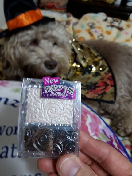 パールグロウハイライト/CEZANNE/パウダーハイライトを使ったクチコミ(1枚目)