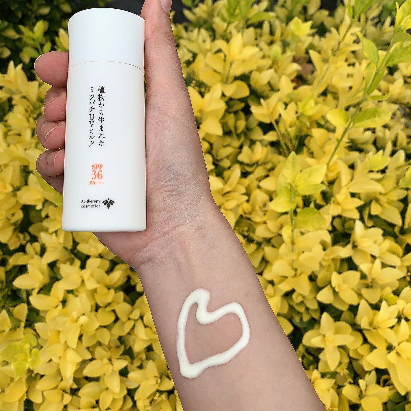 植物から生まれたミツバチUVミルク/アピセラピーコスメティクス/日焼け止めミルクを使ったクチコミ(3枚目)