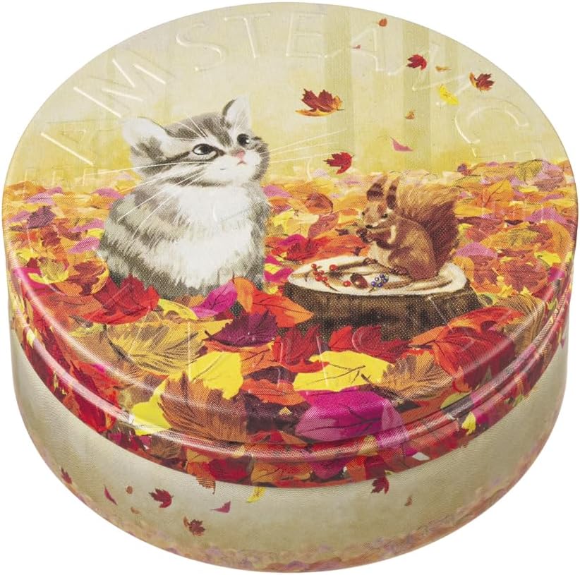 サバトラ＆小さなお友だち