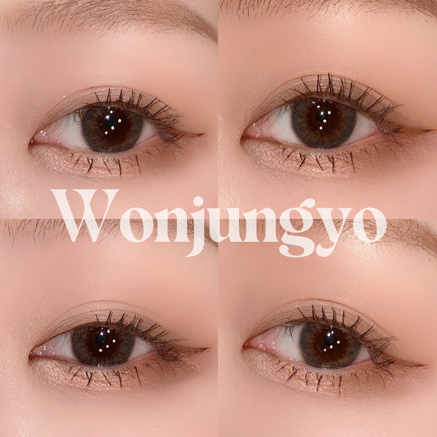 ウォンジョンヨ ヌードアイラッシュ/Wonjungyo/マスカラを使ったクチコミ(9枚目)