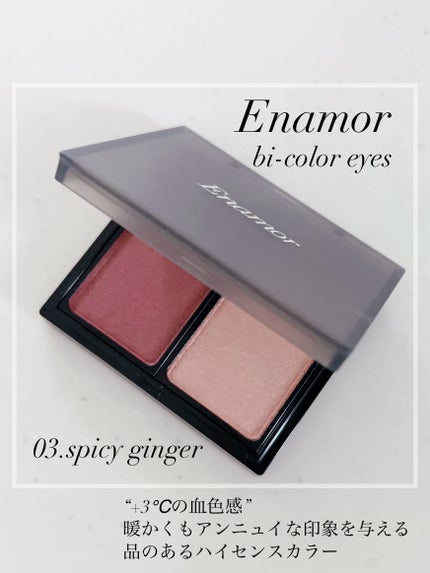 バイカラーアイズ/Enamor/アイシャドウパレットを使ったクチコミ(1枚目)