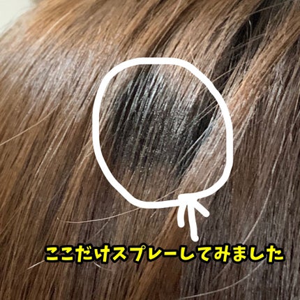 黒染めスプレー/ビューティーン/ヘアカラーを使ったクチコミ(2枚目)