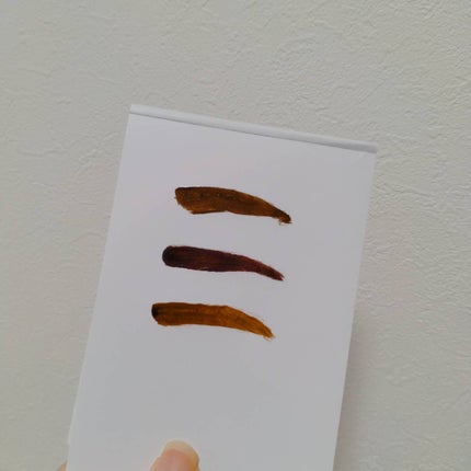 眉ティントSVR/Fujiko/眉ティントを使ったクチコミ(6枚目)