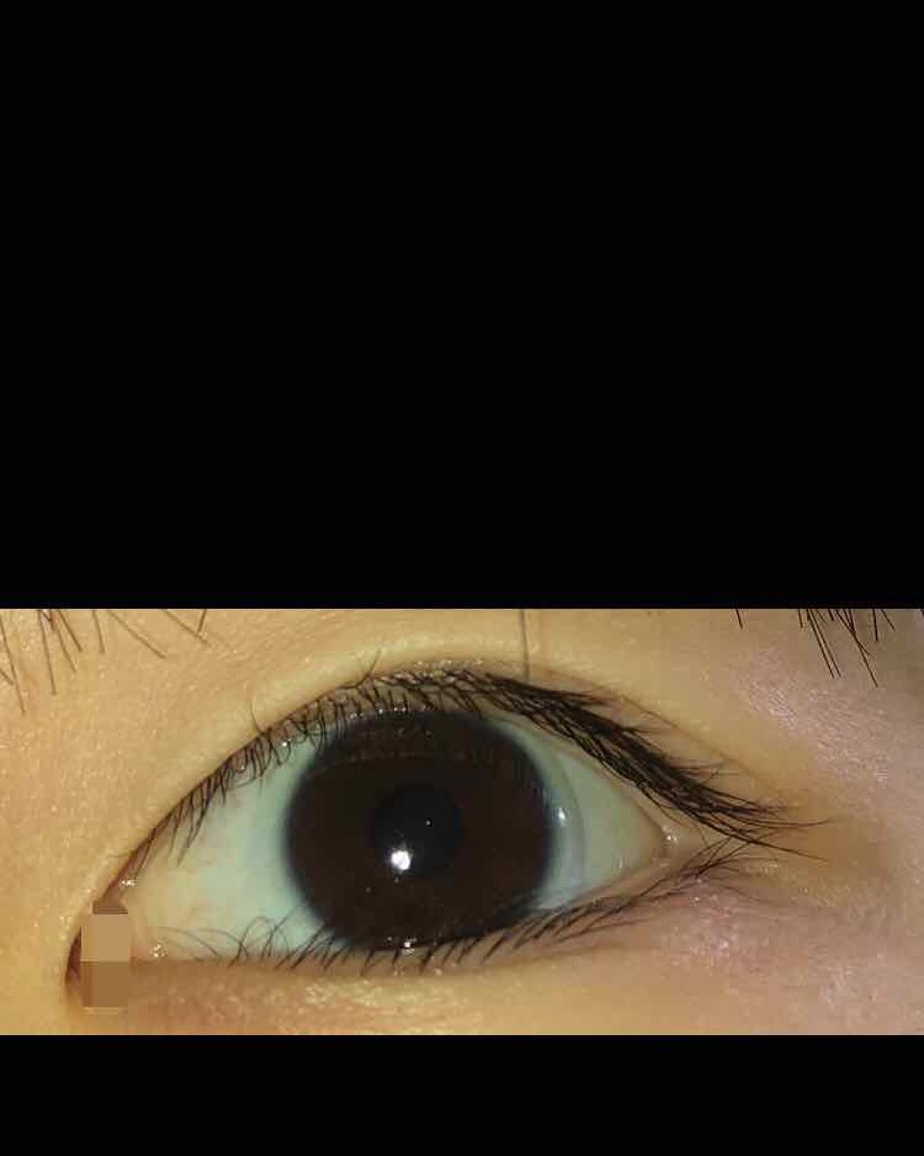 まつげ美容液EX/CEZANNE/まつげ美容液を使ったクチコミ（2枚目）