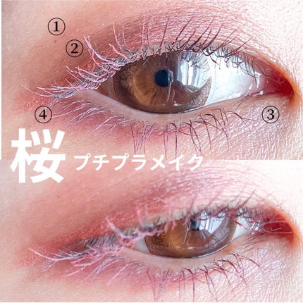 シルキースフレアイズ/キャンメイク/アイシャドウパレットを使ったクチコミ(1枚目)