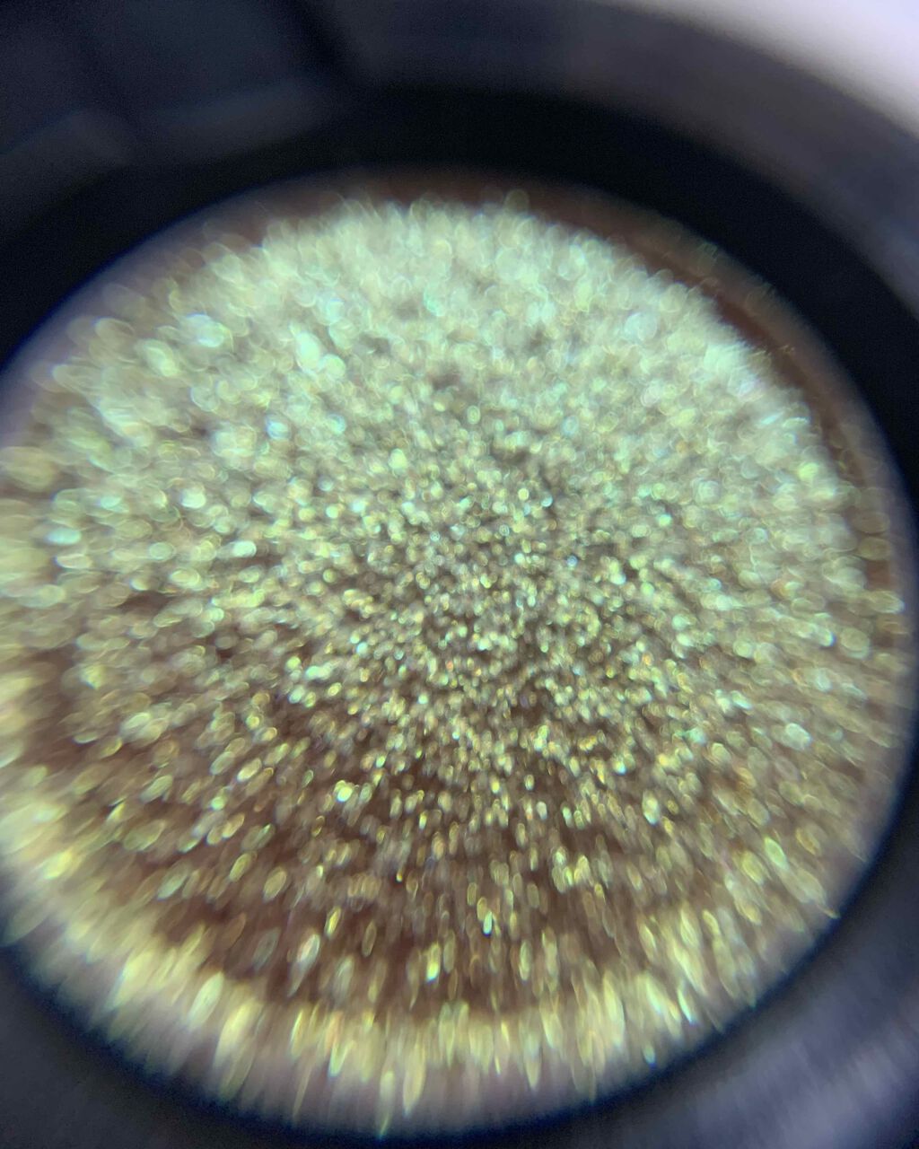 ダズルシャドウ/M・A・C/単色アイシャドウを使ったクチコミ(2枚目)