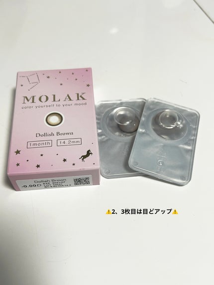 MOLAK 1month ドーリッシュブラウン/MOLAK/1ヶ月(1MONTH)カラコンを使ったクチコミ(1枚目)