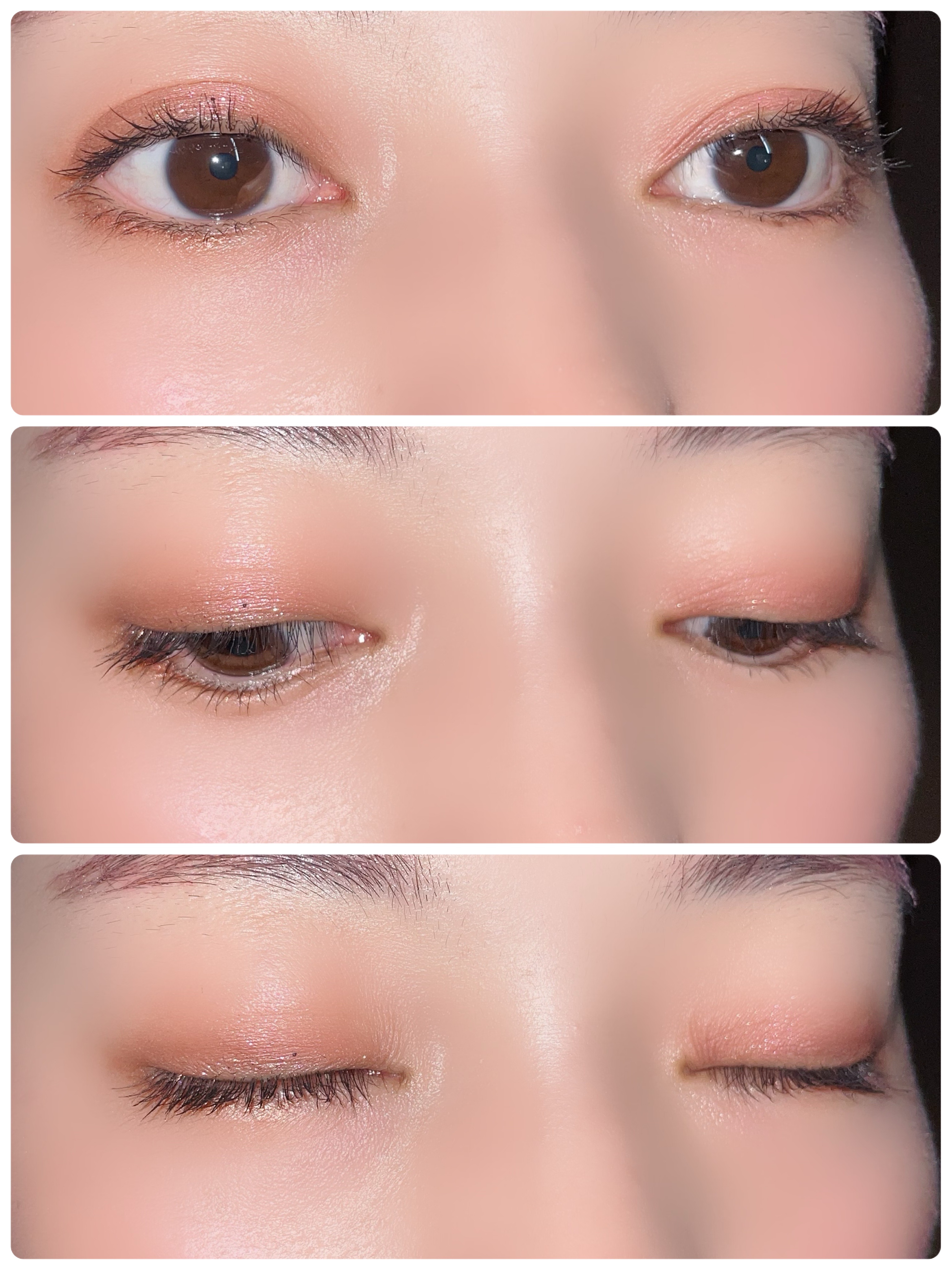 エクスプローラ12色 動物アイシャドウパレット/PERFECT DIARY/アイシャドウパレットを使ったクチコミ（2枚目）