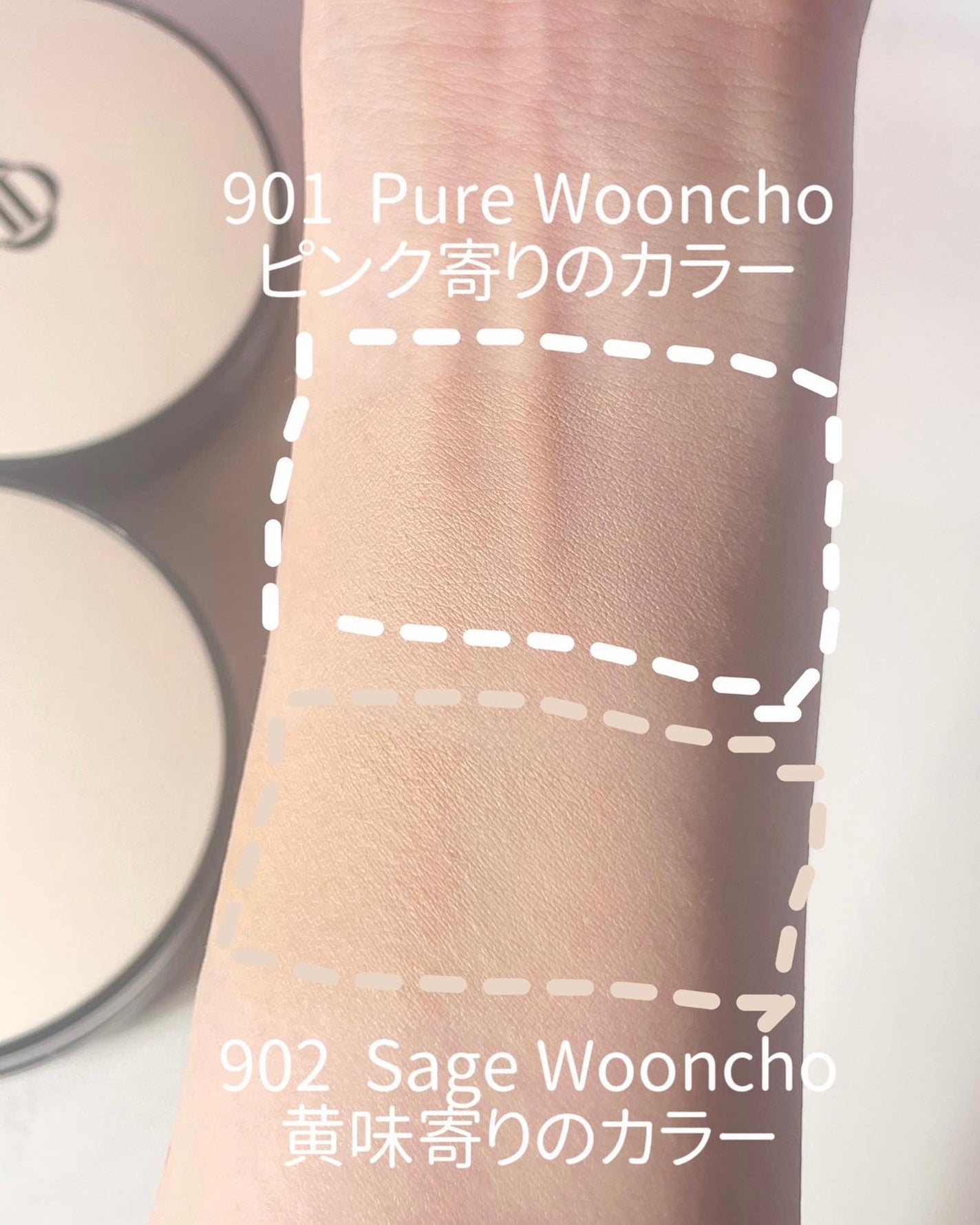 ブラーフィニッシュ雲楚クッション/Dinto/クッションファンデーションを使ったクチコミ(5枚目)