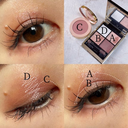 シグニチャー カラー アイズ/SUQQU/アイシャドウパレットを使ったクチコミ(5枚目)