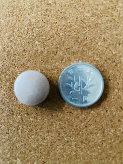 夜遅いごはんでも ヘルシーオンスイッチ 大人の間食サプリ/新谷酵素/食品を使ったクチコミ(5枚目)