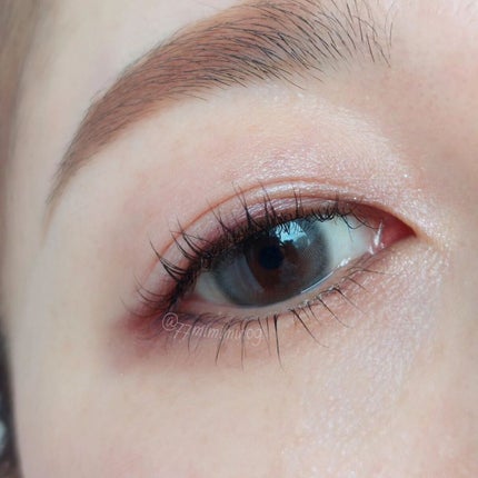 コンスピキュアス アイズ/Amplitude/アイシャドウパレットを使ったクチコミ(3枚目)