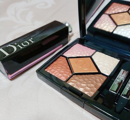 サンク クルール<ワイルド アース>/Dior/アイシャドウパレットを使ったクチコミ(1枚目)