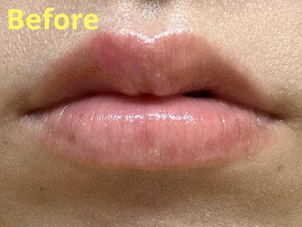 モイスチュアケア リップスティック EX RD108/DHC/口紅の画像