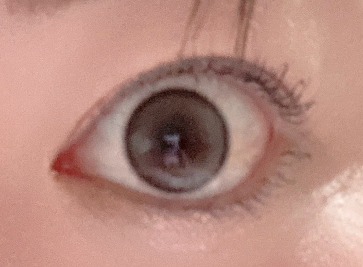 エバーカラーマンスリー パールスノーグレー/エバーカラー/１ヶ月（１MONTH）カラコンを使ったクチコミ（3枚目）