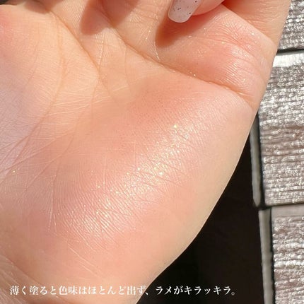 セルフィーフィックスピグメント/Witch's Pouch/単色アイシャドウを使ったクチコミ(5枚目)