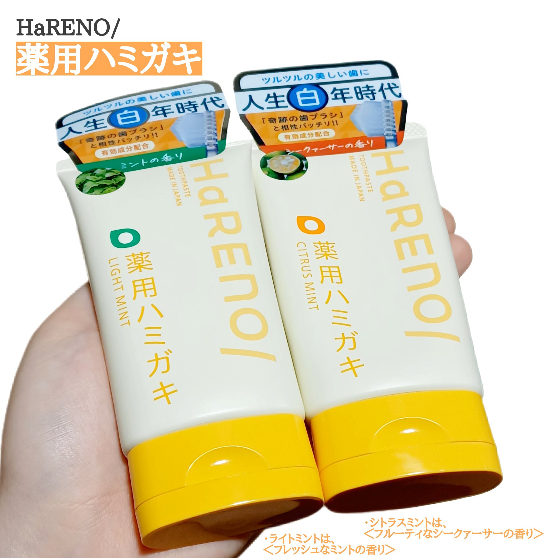 HaRENO 奇跡の歯ブラシ/HaRENO/歯ブラシを使ったクチコミ（1枚目）