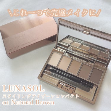 スタイリングアイゾーンコンパクト 01 Natural Brown/LUNASOL/パウダーアイシャドウを使ったクチコミ（1枚目）