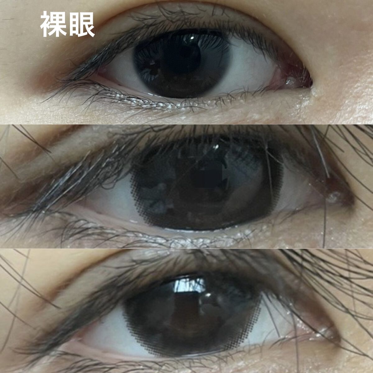 エバーカラーワンデー ナチュラル ナチュラルブラック/エバーカラー/ワンデー（１DAY）カラコンを使ったクチコミ（2枚目）