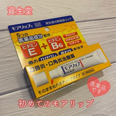 モアリップ N (医薬品)/資生堂薬品/リップケア・リップクリームを使ったクチコミ（1枚目）