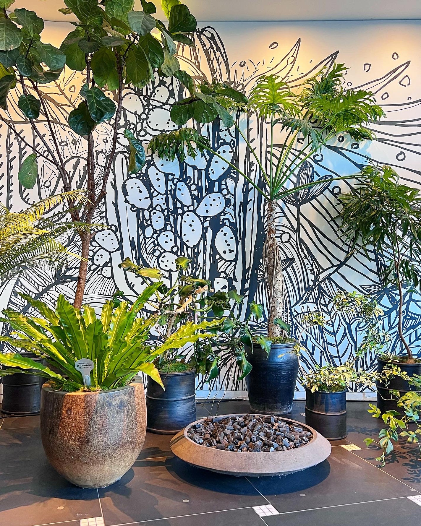 パーソナルリップクリーム/KATE/リップクリームを使ったクチコミ(5枚目)