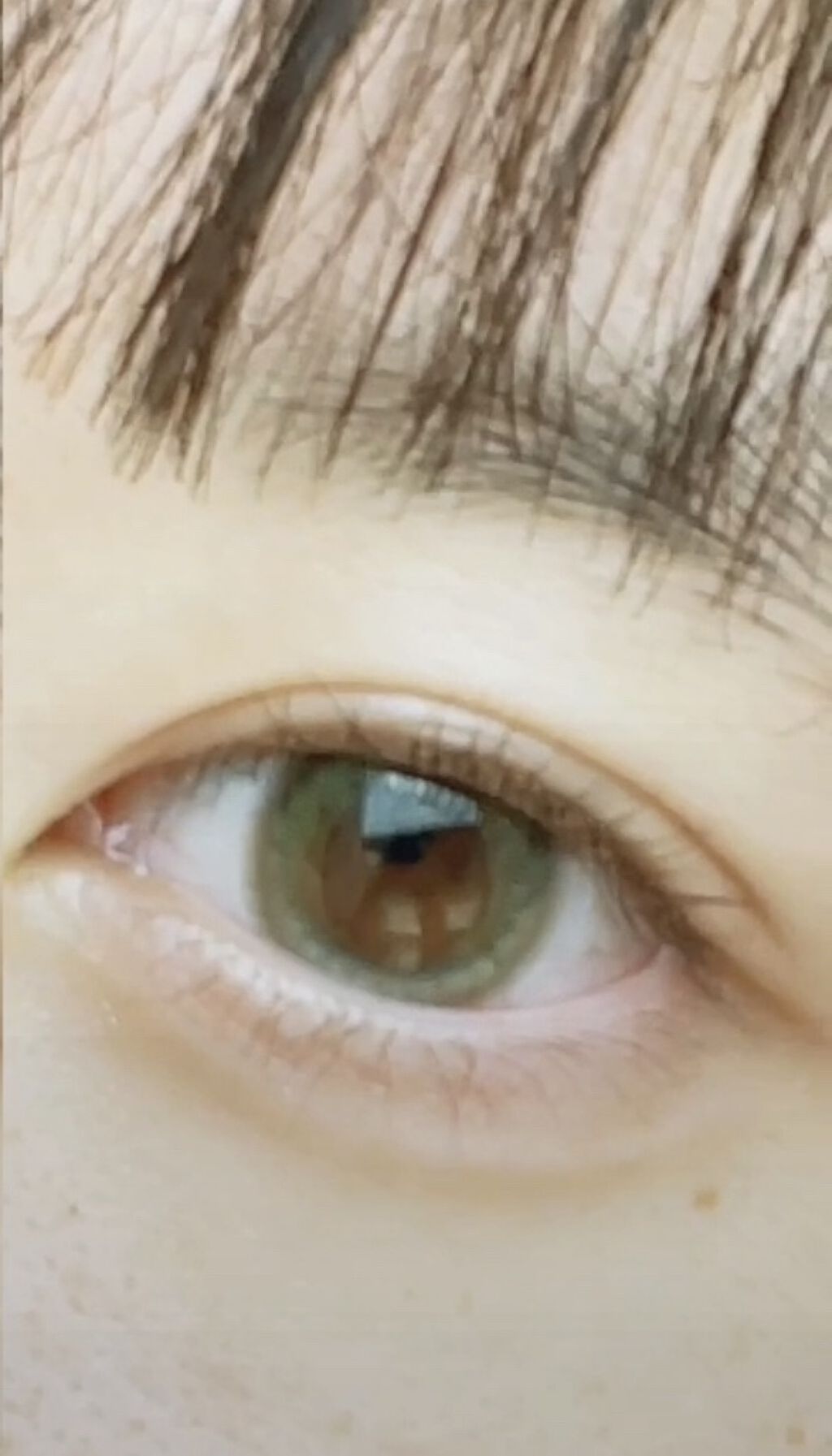 TOPARDS 1day/TOPARDS/ワンデー（１DAY）カラコンを使ったクチコミ（2枚目）