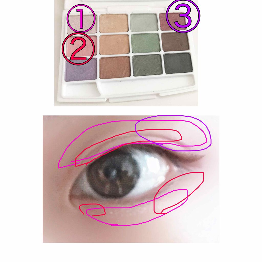 12色アイシャドウパレット/LOUJENE/アイシャドウパレットを使ったクチコミ(2枚目)