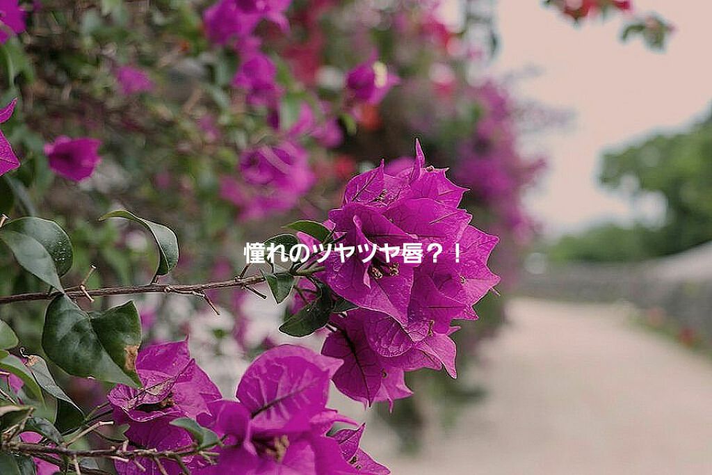 UR GLAM　LIP OIL ヌーディピンク/U R GLAM/リップグロスを使ったクチコミ（1枚目）