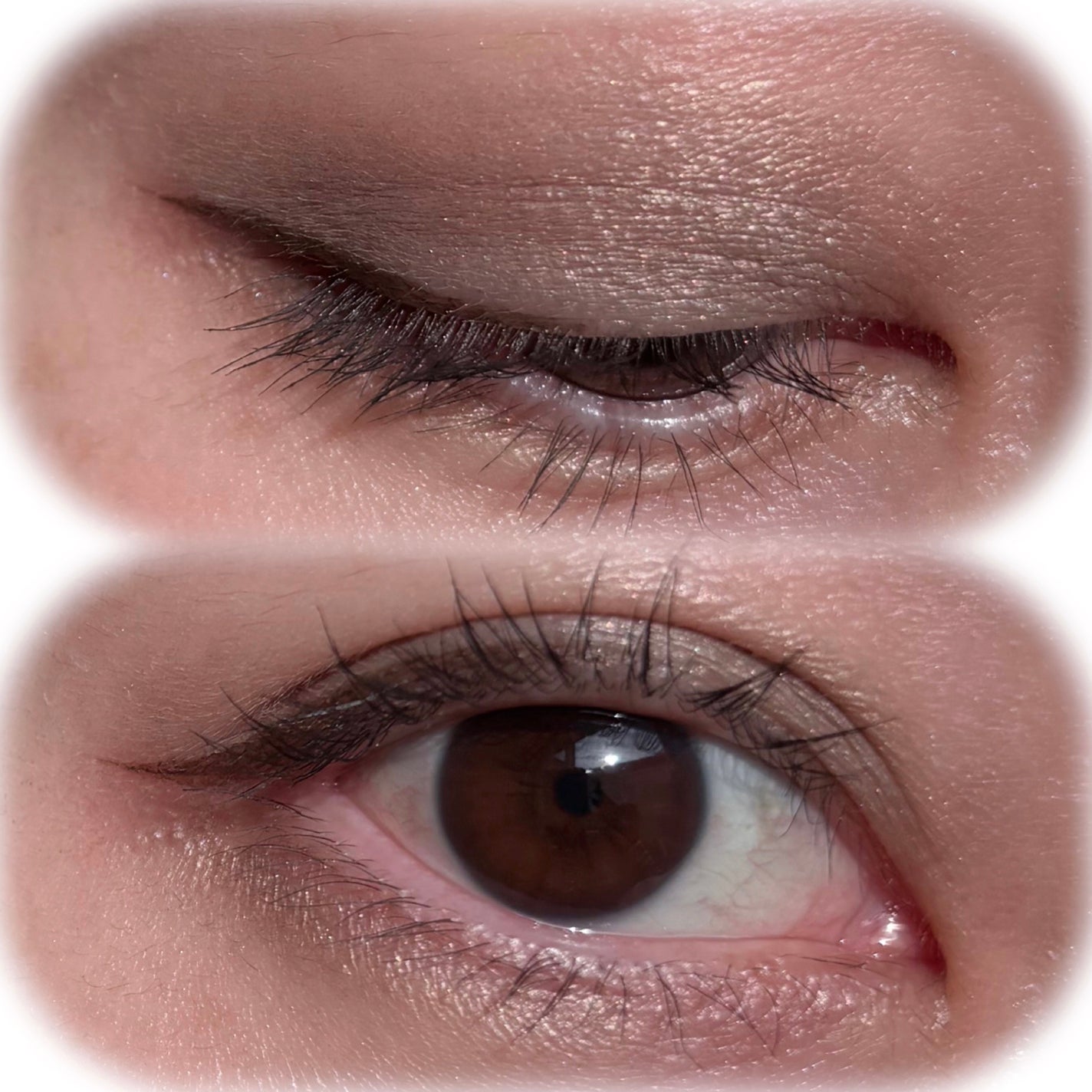 エテュセ アイエディション(カラーパレット)/ettusais/アイシャドウパレットを使ったクチコミ(4枚目)