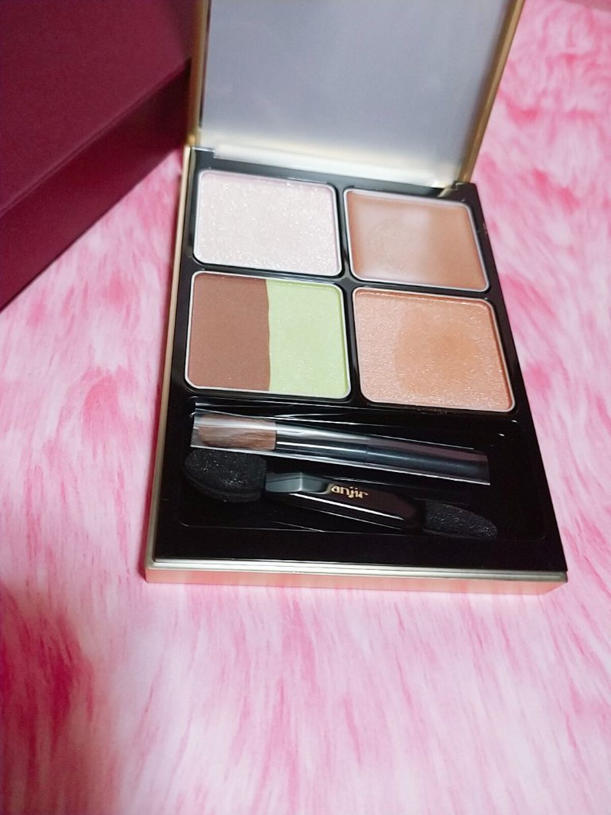 イレジスタブル アイシャドウ/anjir/アイシャドウパレットを使ったクチコミ（2枚目）